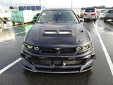 Diamond Tech-Nik Fog Light Covers